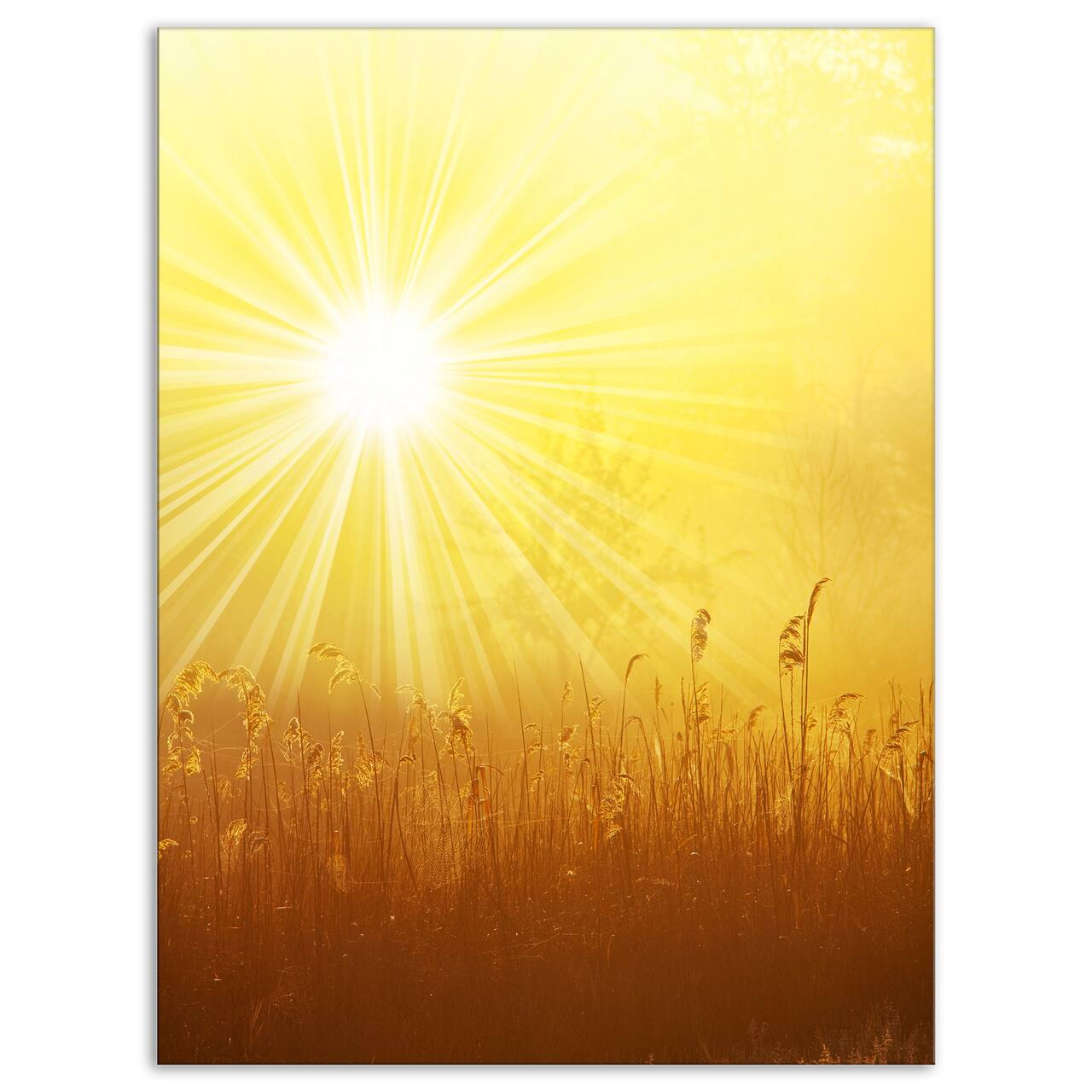 Designart - Amazing Sunrise over Meadow - Oversized Landscape Canvas Art